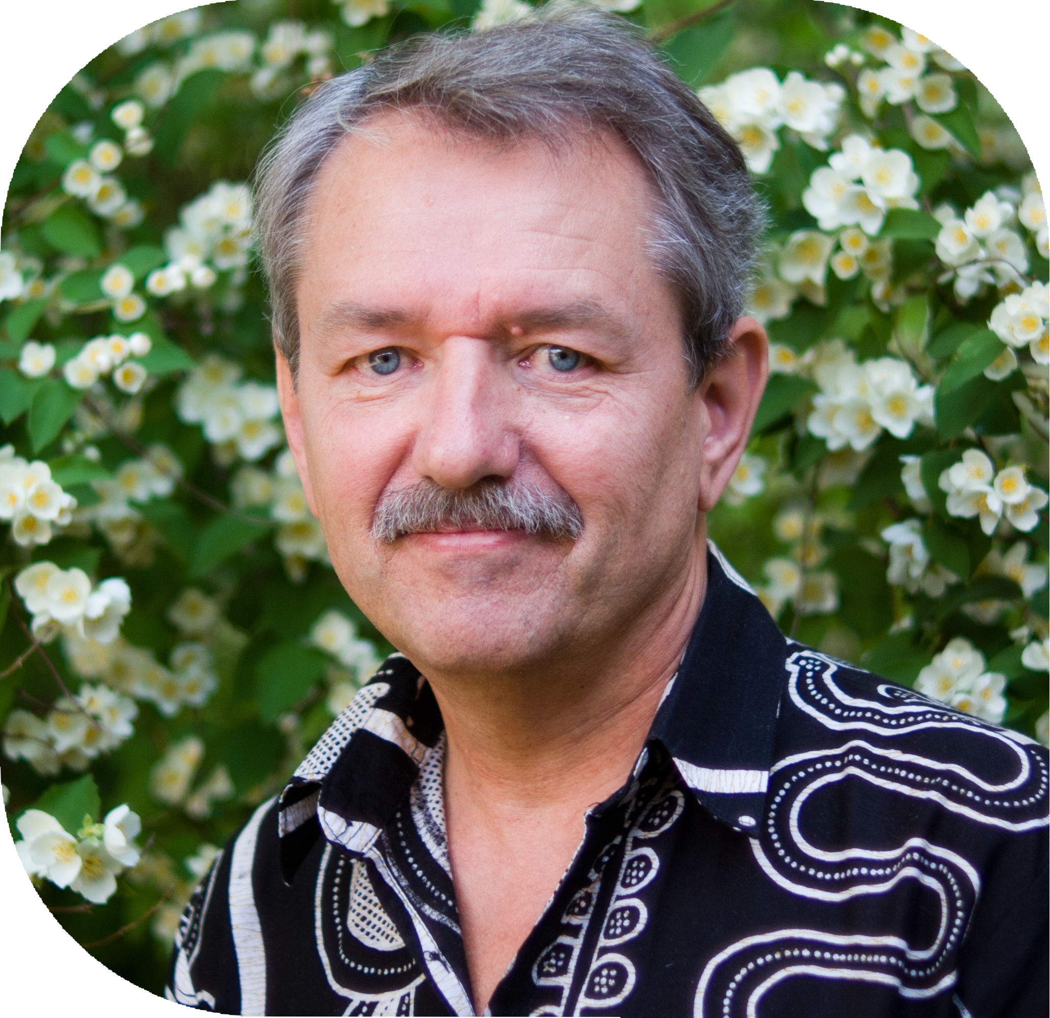 Лавров Владимир Васильевич